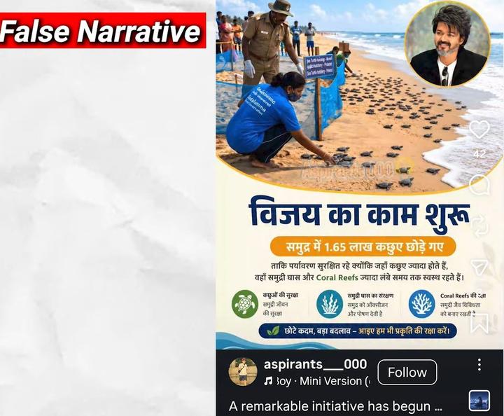 Olive Ridley turtle release framed as Vijay initiative in Hindi