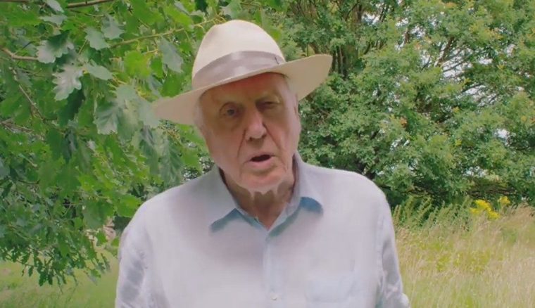 David Attenborough speaking to camera in a meadow David Attenborough speaking to camera in a meadow