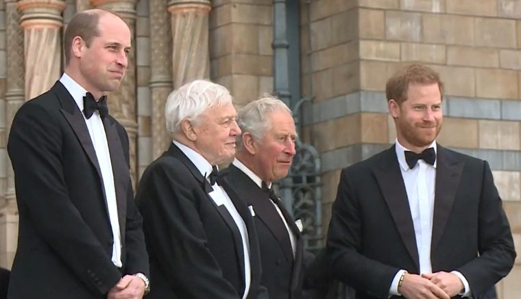 David Attenborough with Prince William then-Prince Charles and Prince Harry at the premiere of Our Planet 2019 David Attenborough with Prince William then-Prince Charles and Prince Harry at the premiere of Our Planet 2019