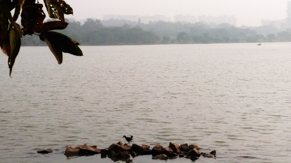 Hebbal Nagawara Lake Projects Reclaim 21 Acres As Drone Visuals Of New Island Go Viral
