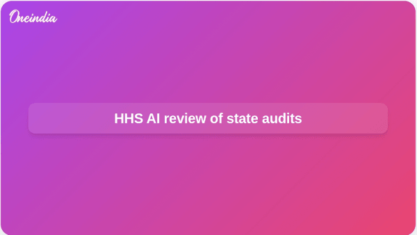 HHS AI review of state audits HHS AI review of state audits