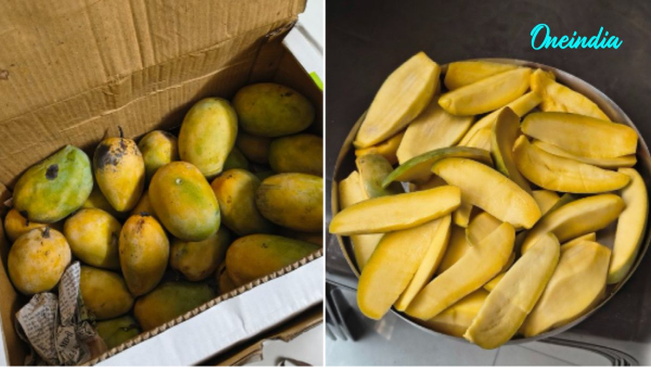 Chemical-Free Mango