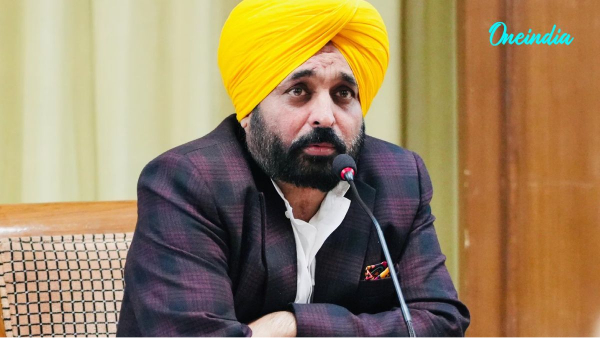 Punjab Govt On Stray Dogs