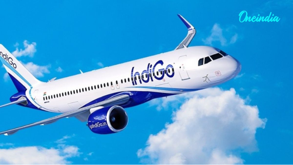 Indigo Flight