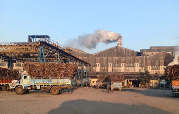Gujarat Govt Approves Sugarcane Prices From 2007-15 Relief of Rs 1 500 Crore for Sugar Cooperatives