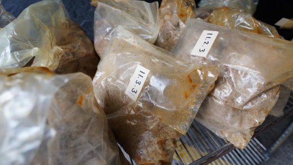 MDMA Drug Bust in Kerala