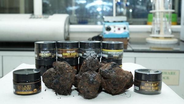 Shilajit Purity: Mrida Greens Solves Trust for Brands