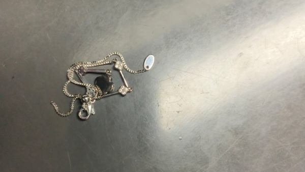 Commuter s Metal Chain Stuck In Metro Door led to Brief Disruption of Services BMRCL