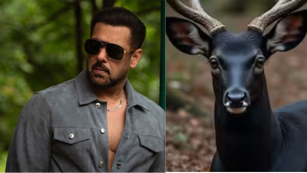 Salman Khan Salman Khan