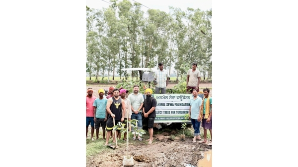 Anmol Sewa Foundation transforms Punjab Haryana with green revolution Anmol Sewa Foundation transforms Punjab Haryana with green revolution