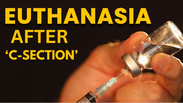 Euthanasia Euthanasia