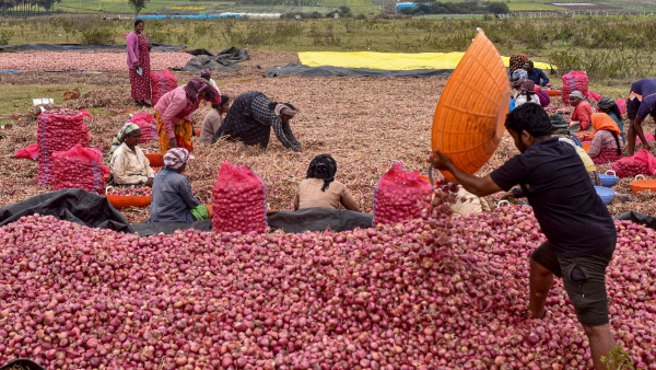 Onion Prices Rise Sharply Centre Moves Buffer Stock To 5 Cities Via Kanda Express