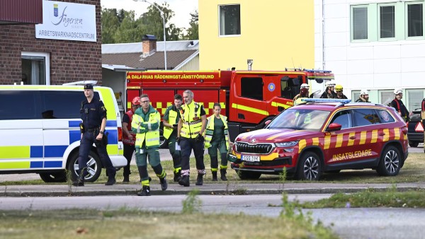 Sweden Sword Attack Sweden Sword Attack