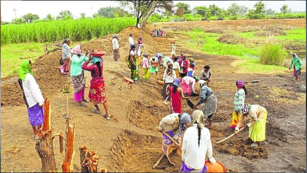VB-G RAM G July Data: Employment Falls 49.94%, Households Down 51.45% - Oneindia News