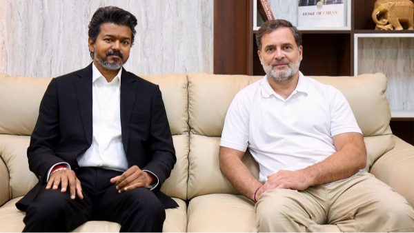 Tamil Nadu CM Thalapathy Vijay and Congress MP Rahul Gandhi Tamil Nadu CM Thalapathy Vijay and Congress MP Rahul Gandhi