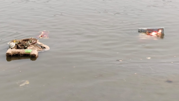 Idols Floating in Yamuna River Idols Floating in Yamuna River