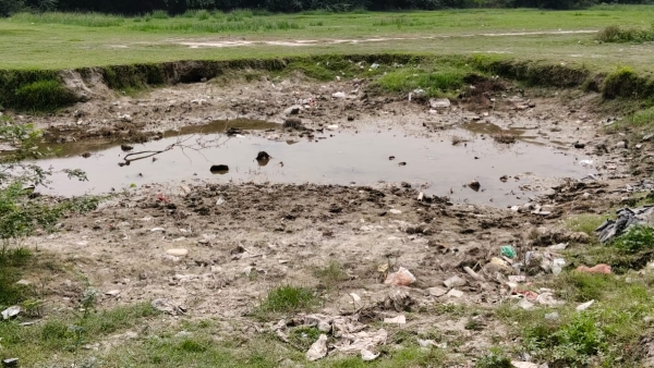 One year old Pond in Bad condition One year old Pond in Bad condition