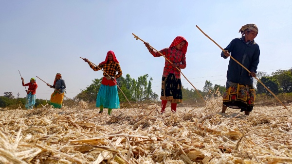 Ethanol Demand Drives Interest In Karnataka Sugar Mills 42 Applications Filed Ethanol Demand Drives Interest In Karnataka Sugar Mills 42 Applications Filed