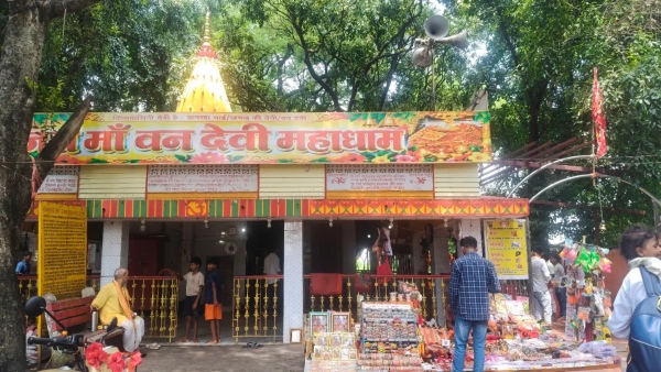 The Vvan Story Of Bihar s 350-Year-Old Maa Van Devi Temple That Inspired The Film