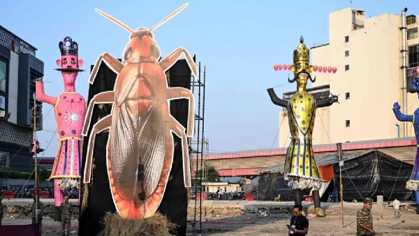 Cockroach Effigy Cockroach Effigy