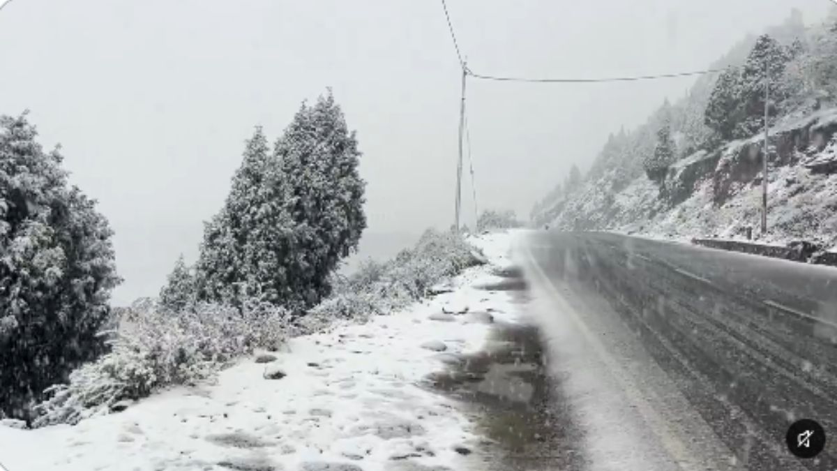 Fresh Snowfall In Himachal Pradesh: Sach Pass Gets 1 Foot Of Snow, High-Altitude Roads Closed Fresh Snowfall In Himachal Pradesh: Sach Pass Gets 1 Foot Of Snow, High-Altitude Roads Closed