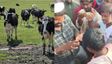 Viral Video: ಸೌಹಾರ್ದತೆ ಕಾಪಾಡುವ ಉದ್ದೇಶದಿಂದ ಹಸು ಖರೀದಿಸದ ಮುಸ್ಲಿಮರು: ರೈತರ ಆಕ್ರೋಶ