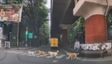 Bengaluru: ಟ್ರಾಫಿಕ್ ರೂಲ್ಸ್ ಪಾಠ ಮಾಡಿದ ಬೀದಿ ನಾಯಿಗಳು; ಝೀಬ್ರಾ ಕ್ರಾಸಿಂಗ್‌ನಲ್ಲಿ ರಸ್ತೆ ದಾಟಿದ ಶ್ವಾನಗಳು ವೈರಲ್