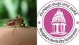 Dengue: ಬೆಂಗಳೂರಲ್ಲಿ 46 ಡೆಂಗ್ಯೂ ಪ್ರಕರಣ: ಸಾರ್ವಜನಿಕರಿಗೆ ಪಾಲಿಕೆಯ ಮಹತ್ವದ ಸೂಚನೆ