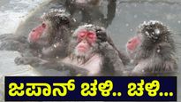 Japan Snowfall: 30 ಜೀವಕ್ಕೆ ಕುತ್ತು ತಂದ ಭಾರಿ ಹಿಮಪಾತ, ಜಪಾನ್ ಪರಿಸ್ಥಿತಿ ಕಂಡು ಪ್ರಪಂಚದ ಕಂಬನಿ