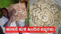 ಬರಗಾಲದಲ್ಲೂ ಬಡವರಿಗೆ ಯುಗಾದಿ ಹಬ್ಬ ತರುವ ಹುಣಸೆ: ತುಮಕೂರಿನ ತೋವಿನಕೆರೆಯಲ್ಲಿ ಫೆಬ್ರವರಿ 23ಕ್ಕೆ ಹುಣಸೆ ಕಾರ್ಯಾಗಾರ