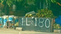 Bengaluru: 1 ಲೀಟರ್‌ಗೆ 180 ರೂ.! ಸಿಲಿಕಾನ್ ಸಿಟಿಯಲ್ಲಿ ಲೀಟರ್ ಲೆಕ್ಕದಲ್ಲಿ ಎಳನೀರು ಮಾರಾಟ, ಫೋಟೋ Viral