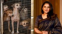 Ramya: ಬೀದಿ ನಾಯಿಗಳ ಮೇಲಿನ ಕ್ರೌರ್ಯಕ್ಕೆ ನಟಿ ರಮ್ಯಾ ಕಣ್ಣೀರು: ಬೆಂಗಳೂರಿನ ಫ್ರೀಡಂಪಾರ್ಕ್‌ ಪ್ರತಿಭಟನೆಯಲ್ಲಿ ಭಾಗಿ