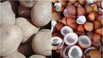 Copra: ಹೊಸ ದಾಖಲೆ ನಿರ್ಮಿಸಿದ ತಿಪಟೂರು ಉಂಡೆ ಕೊಬ್ಬರಿ, ಕ್ವಿಂಟಾಲ್‌ಗೆ‌ 38,000 ರೂ.