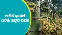 Arecanut Price: ತುಂಬಾ ದಿನಗಳ ಬಳಿಕ ದಾವಣಗೆರೆ ಮಾರುಕಟ್ಟೆಯಲ್ಲಿ ಅಡಿಕೆ ಧಾರಣೆ ಭರ್ಜರಿ ಏರಿಕೆ; ಇಲ್ಲಿದೆ ಮೇ 7ರ ದರಪಟ್ಟಿ