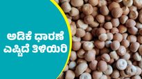 Arecanut Price: ದಾವಣಗೆರೆ ಮಾರುಕಟ್ಟೆಯಲ್ಲಿ ಅಡಿಕೆ ಧಾರಣೆ ಎಷ್ಟಿದೆ? ಇಲ್ಲಿದೆ ಮೇ 30ರ ದರಪಟ್ಟಿ