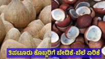 Copra: ತಿಪಟೂರು ಕೊಬ್ಬರಿ ಬೆಲೆ ಮತ್ತೆ ನಾಗಾಲೋಟದಲ್ಲಿ ಹೆಚ್ಚಳ, ಇಂದಿನ ದರಪಟ್ಟಿ ಹೀಗಿದೆ