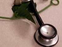 Doctors firm on resignation stance Doctors firm on resignation stance