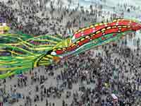 International kite competion in Mangaluru International kite competion in Mangaluru