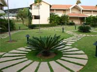 Infosys, Wipro to offer organic veggies for staff Infosys, Wipro to offer organic veggies for staff