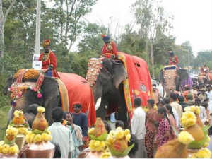 Elephants begin journey towards Mysore Elephants begin journey towards Mysore