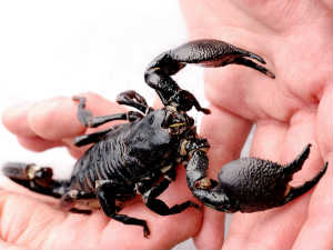 Don't get your mind diverted Don't get your mind diverted