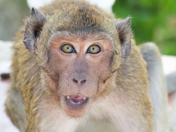 Dare to defeat fear Dare to defeat fear