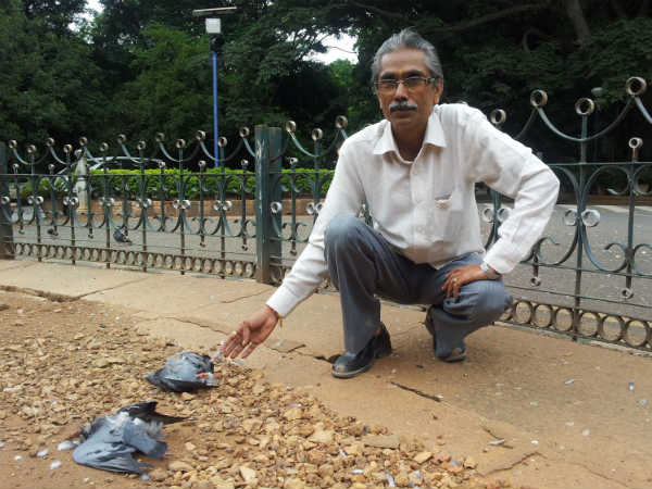 ಪಕ್ಷಿಪ್ರಿಯ ಶ್ರೀನಿವಾಸ್ ಕಳಕಳಿಯ ಮನವಿ