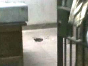 tunnel-to-strongroom-sbi-bank-jaisalmer-r-70-lakh-loot tunnel-to-strongroom-sbi-bank-jaisalmer-r-70-lakh-loot