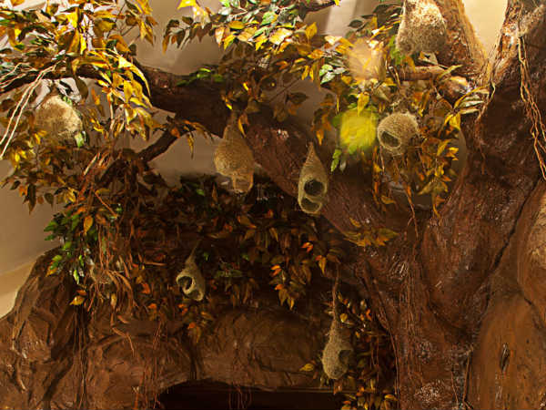 ಜೇಡರ ಬಲೆ, ಗೀಜಗನ ಗೂಡು, ಪೊಟರೆಗಳು