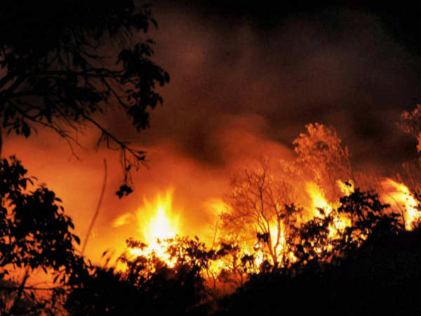 ಕರ್ನಾಟಕದ ಮುಳ್ಳಯ್ಯನಗಿರಿಯಲ್ಲಿ ಕಾಳ್ಗಿಚ್ಚು ಕರ್ನಾಟಕದ ಮುಳ್ಳಯ್ಯನಗಿರಿಯಲ್ಲಿ ಕಾಳ್ಗಿಚ್ಚು