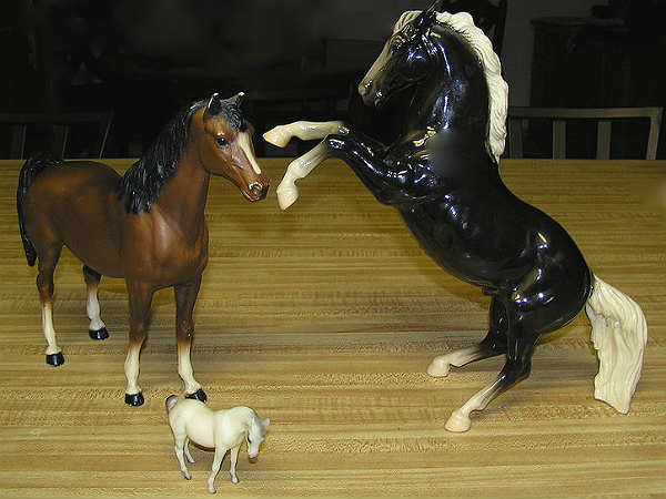 ಡಾರ್ಕ್ ಹಾರ್ಸೋ ಓಡುವ ಕುದುರೆಯೋ? ಡಾರ್ಕ್ ಹಾರ್ಸೋ ಓಡುವ ಕುದುರೆಯೋ?