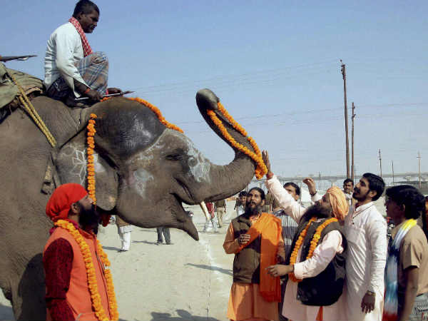 ಮಹಾ ಕುಂಭಮೇಳ ದೃಶ್ಯಾವಳಿ 