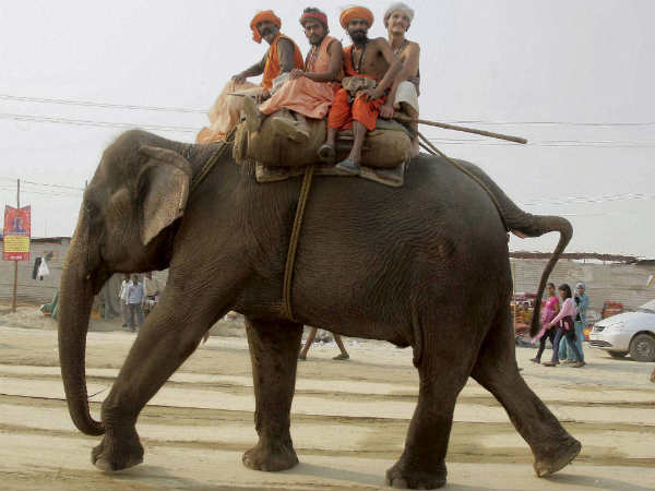 ಕುಂಭಮೇಳದ ದೃಶ್ಯಾವಳಿಗಳನ್ನು ತಪ್ಪದೆ ನೋಡಿ