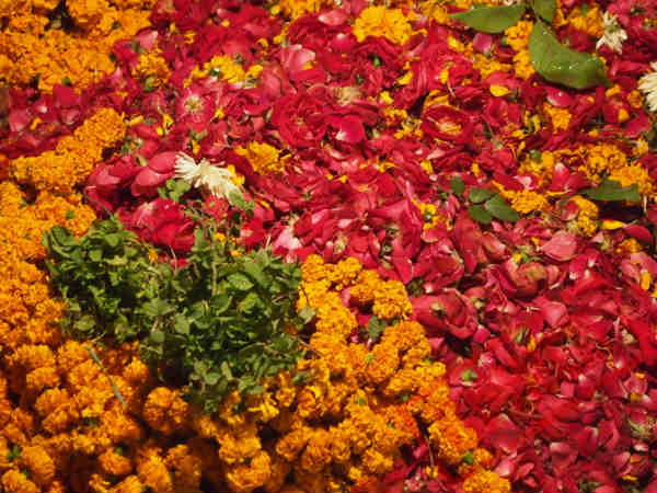 ಕೆಮೆರಾ ಕಣ್ಣಿನಲ್ಲಿ ಕುಂಭಮೇಳದಲ್ಲಿನ ಜನ ಜೀವನ